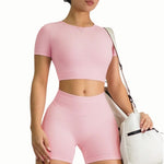 Women's Sculpted Fit Seamless Sports Crop Top in Pink – Stylish, Supportive Activewear for Gym, Running, and Yoga Sessions