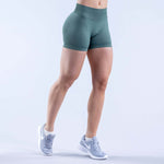 Sculpted Fit Seamless Shorts